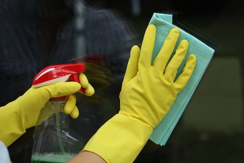 Professional pet stain odour removal in an Ilford home