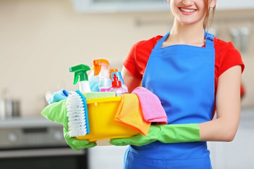Technician performing sofa upholstery cleaning in Ilford
