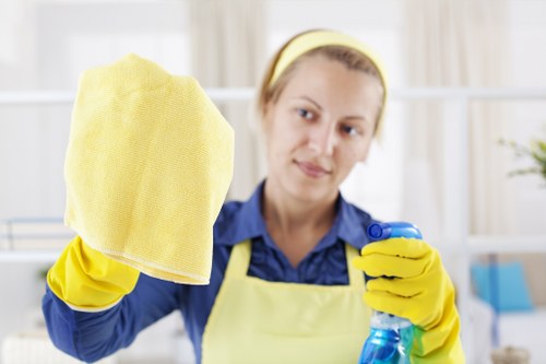 Visual of supplier audit and compliance review in a carpet cleaning business