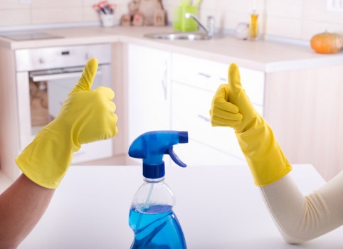 Carpet cleaning process with professional tools and treated flooring
