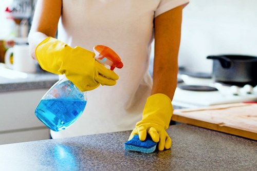 Inspection of mattress stains before mattress cleaning in Ilford