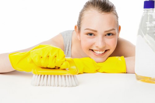 Mattress and fabric stain removal support in Ilford