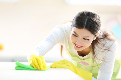 Technician reviewing safety procedures before cleaning begins