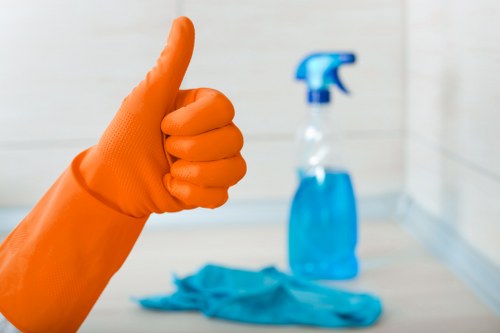 Deep cleaning treatment for pet stains in Ilford