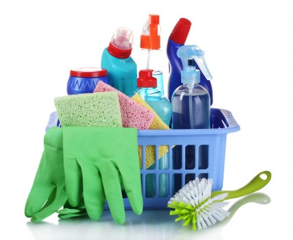 Professional carpet cleaner assessing a property before treatment